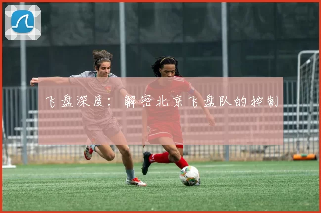 飞盘深度：解密北京飞盘队的控制