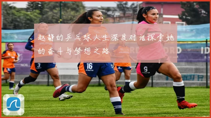 赵静的乒乓球人生深度对话探索她的奋斗与梦想之路