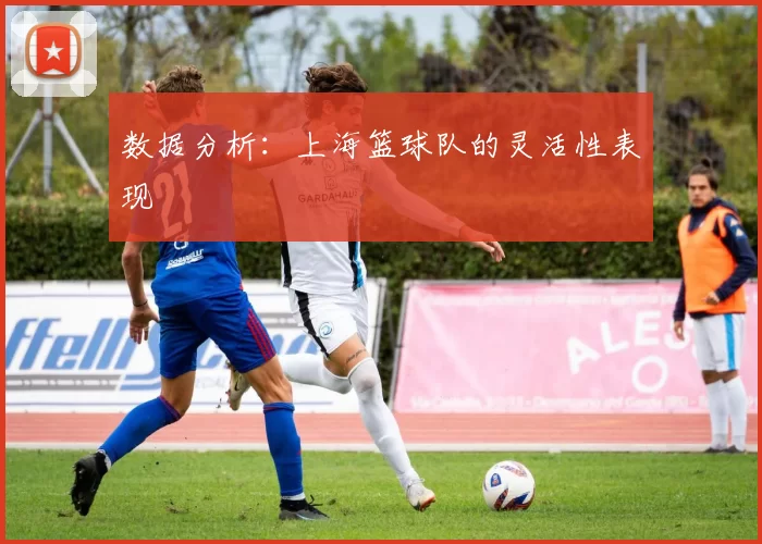 数据分析：上海篮球队的灵活性表现