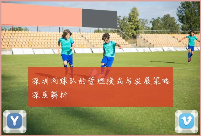 深圳网球队的管理模式与发展策略深度解析