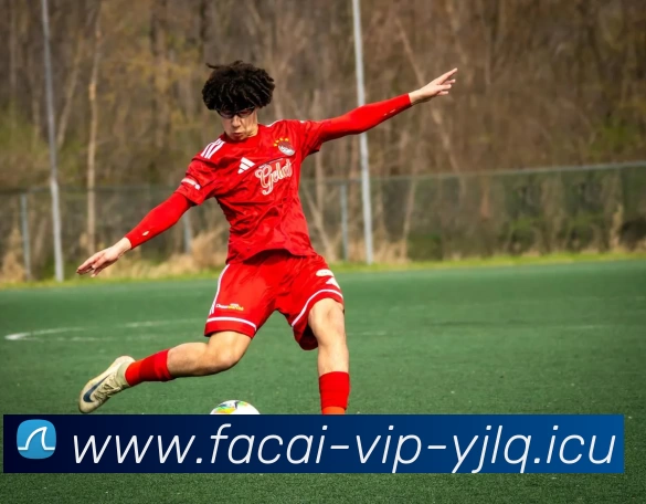 华体会体育品牌故事