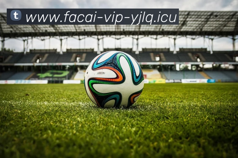 华体会体育服务体系